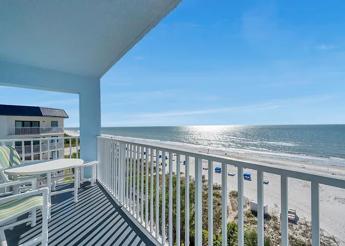 Sand Dollar 502