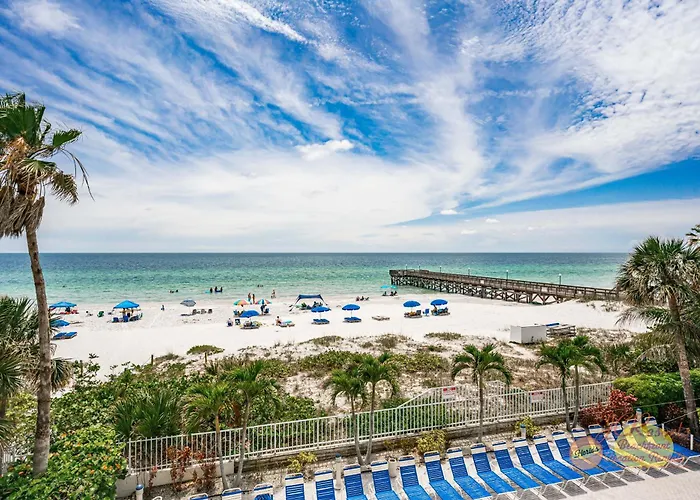 Beach Palms 209