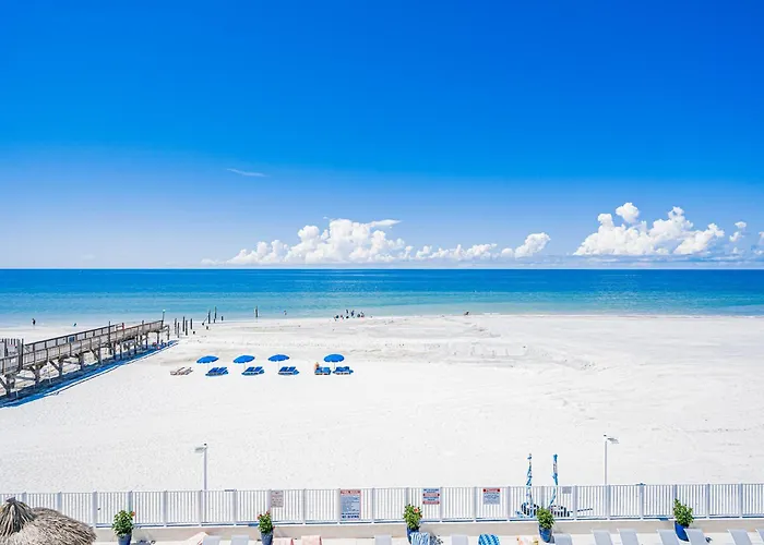 Sand Dollar 309