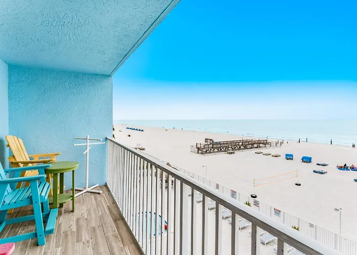 Sand Dollar 311