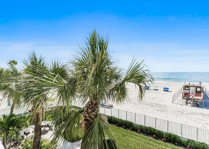 Sand Dollar 204