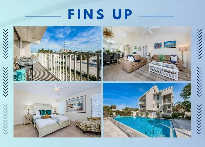 Fins Up In Clearwater Beach