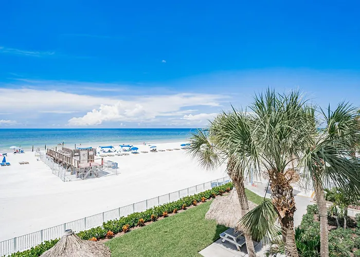 Sand Dollar 203